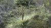 DSC00556.jpg