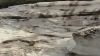 DSC00557.jpg