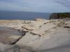 dsc00558.jpg