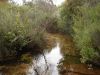 dsc00583.jpg