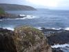 dsc00900.jpg