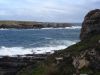 dsc00902.jpg