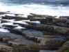 dsc00903.jpg